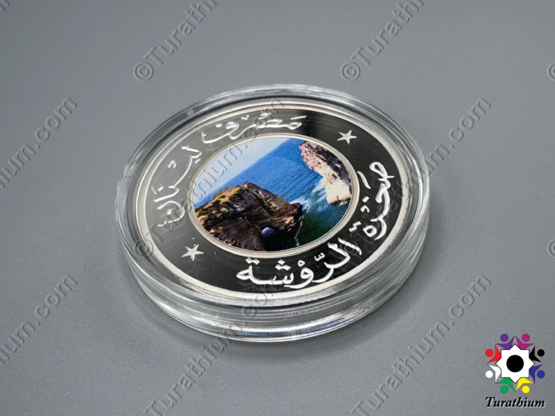 Natural Scenes BDL COIN 2012 C7a