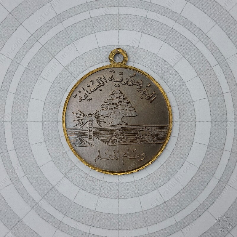 The Teacher's Medal - Bronze_09