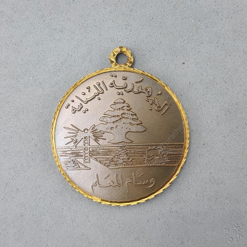 The Teacher's Medal - Bronze_07