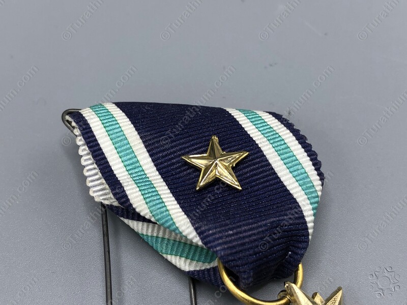 Naval Medal - Gilded  c_08