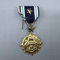 Naval Medal - Gilded  c_01