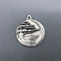 Medal of Justice-Silver_03