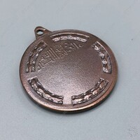 Medal of Justice-Bronze_04