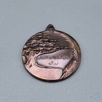 Medal of Justice-Bronze_05