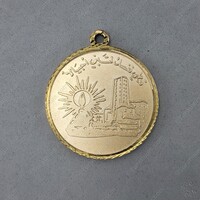 The Teacher's Medal - Gilded_07