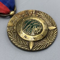 Medal of Competence_03