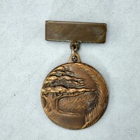 Order of Public Instruction-Bronze c_08